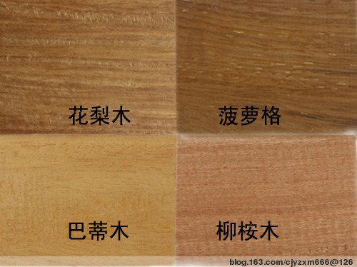 �c(di��n)���鿴�㽭����ľ�Ŵ�DƬ