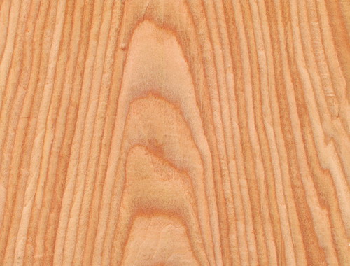 �c(di��n)���鿴�Ƽ�ľƤ�Ŵ�DƬ