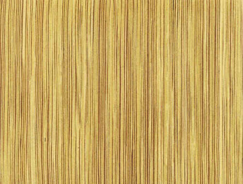 �c(di��n)���鿴�Ƽ�ľƤ�Ŵ�DƬ