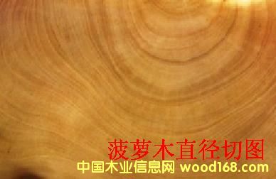 ���}ľ���Ԕ��(x��)��B