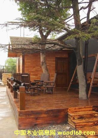 ����ľ��Ԕ��(x��)��B