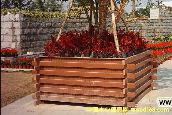 �c���鿴��ľ���طŴ�DƬ