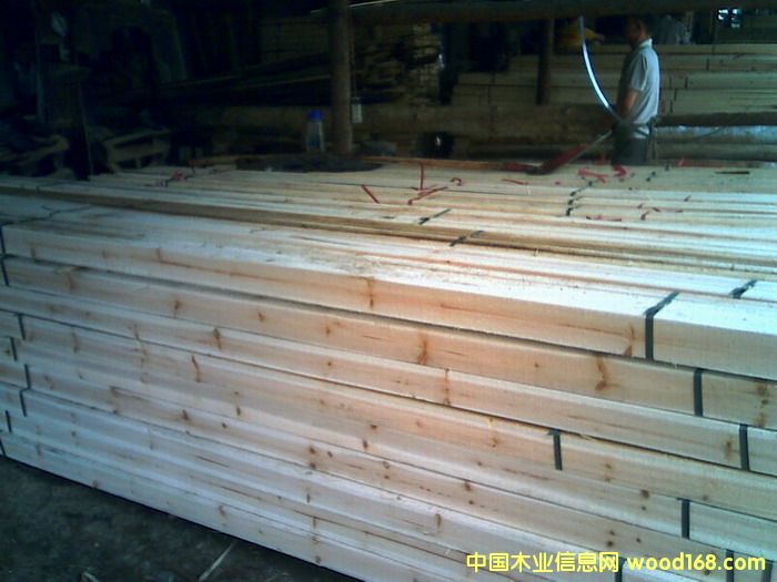 �c���鿴ɼľ�Ŵ�DƬ