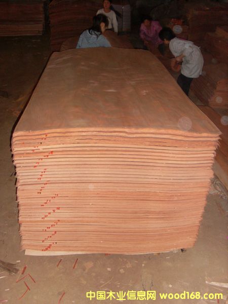 �c���鿴�һ�о��Ƥ�Ŵ�DƬ