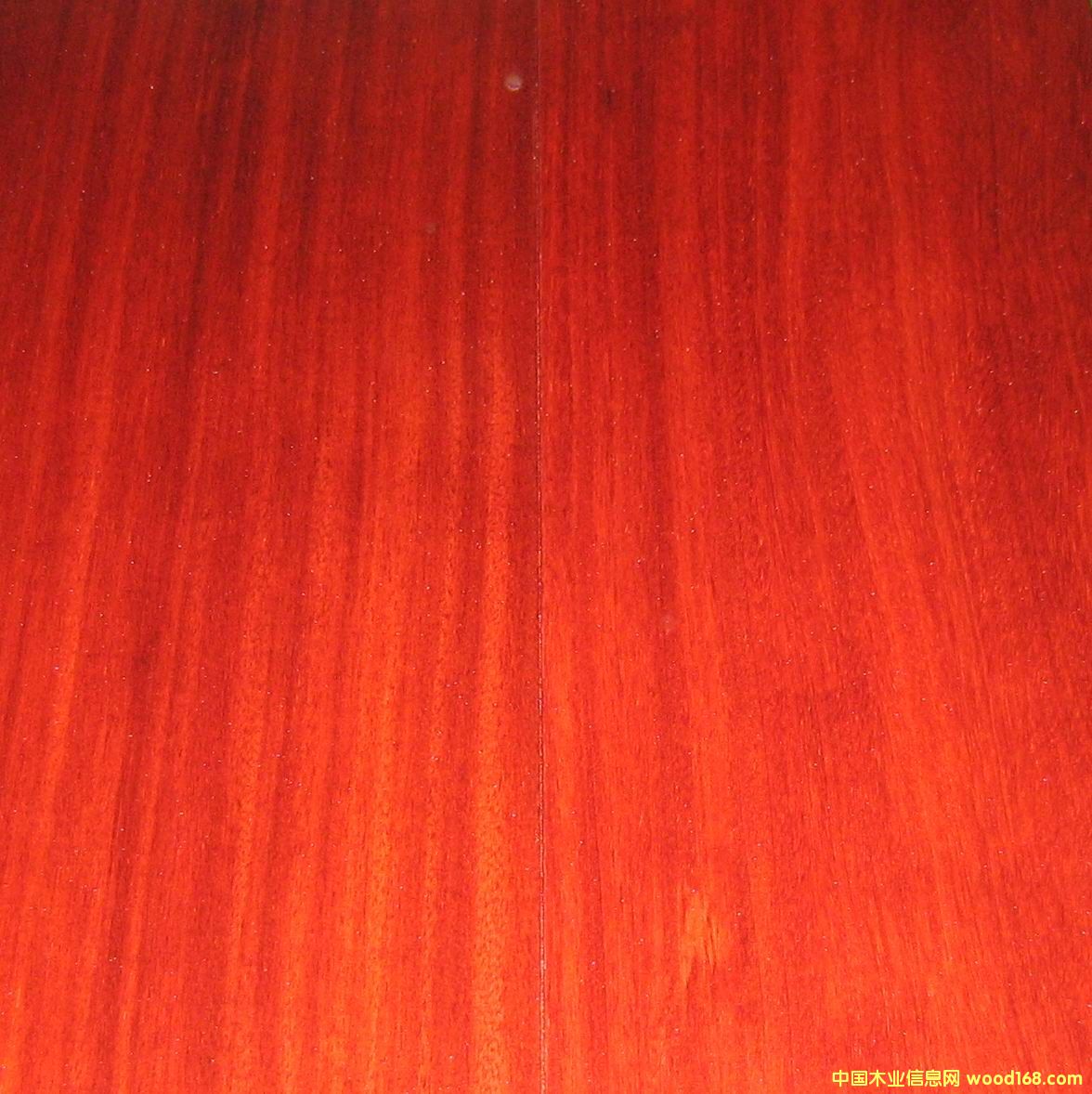 �c(di��n)���鿴�t̴��Ŵ�DƬ