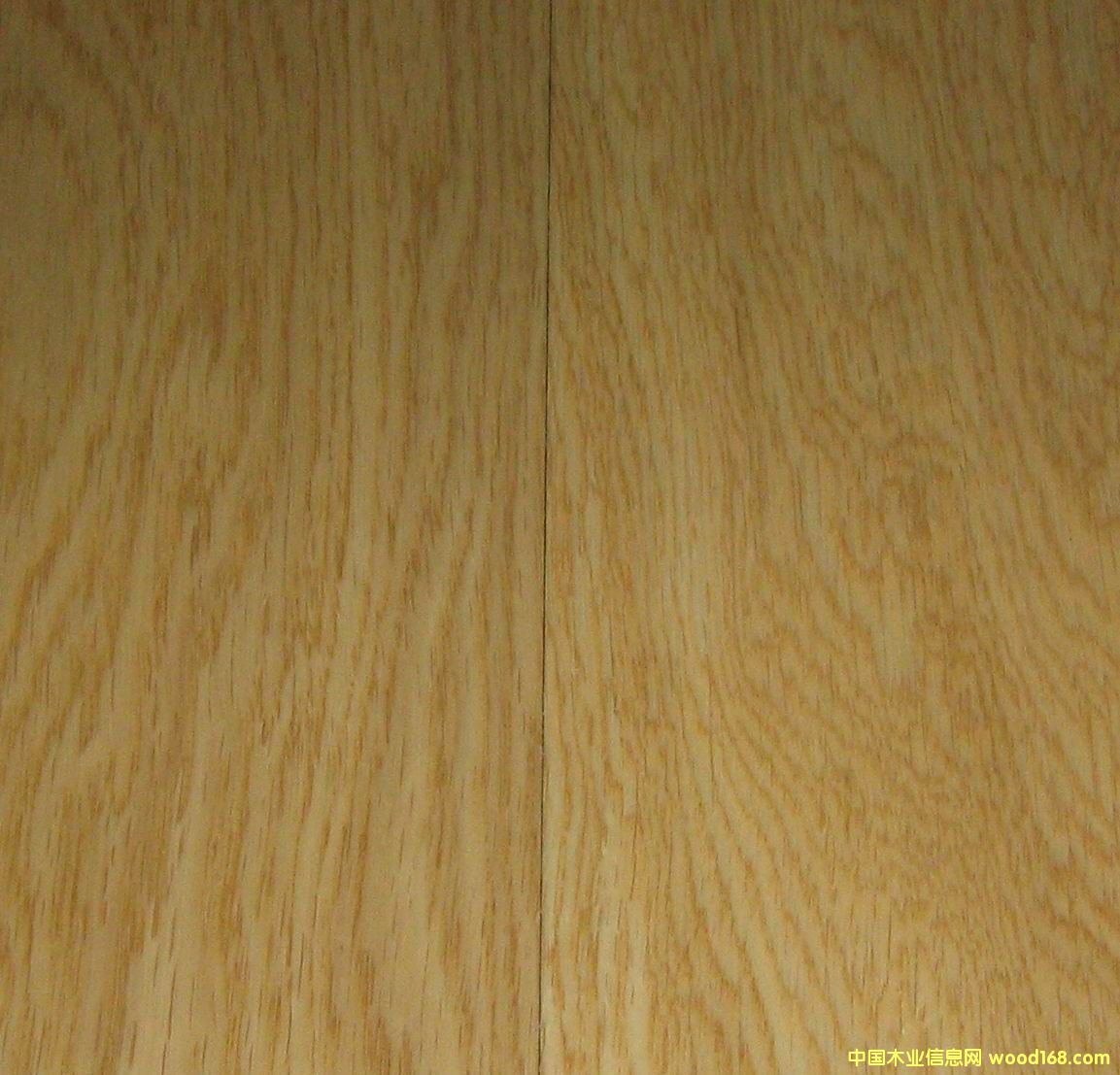 �c(di��n)���鿴��ľ�Ŵ�DƬ