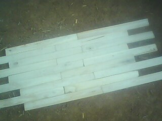 ��(x��)ľ����l����ľ��