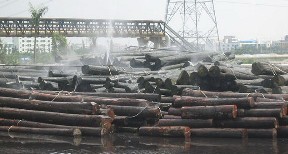 ԭľ��ľ����Ԕ��(x��)��B