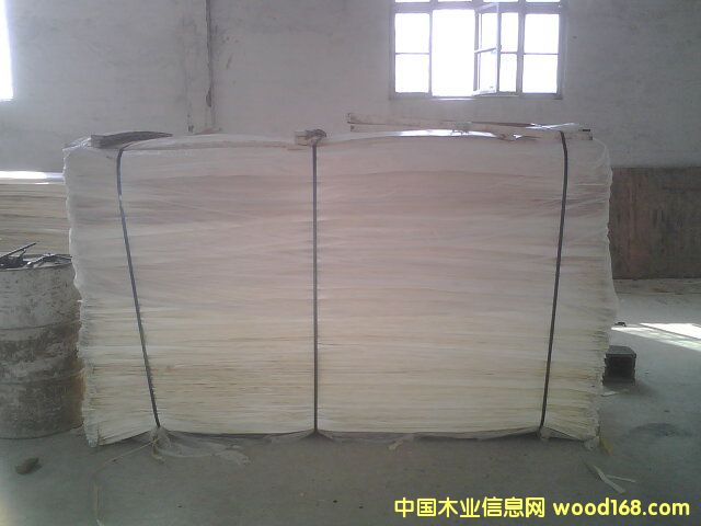 �c���鿴��ľƯ�ןo���Ŵ�DƬ