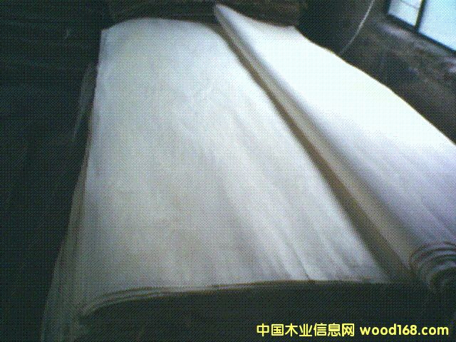 �c���鿴��ľƯ�ןo���Ŵ�DƬ