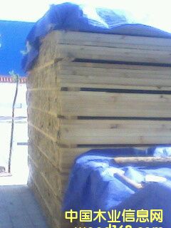 ��ľ��Ԕ��(x��)��B