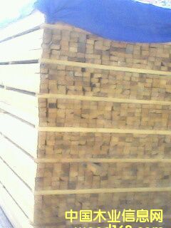 ��ľ��Ԕ��(x��)��B