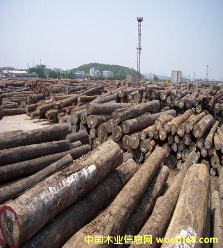 �Ҿ߲ĵ�Ԕ��(x��)��B