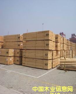 �Fɼ����ľ����Ԕ��(x��)��B