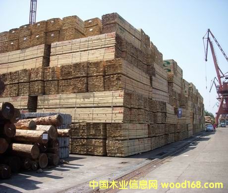 �M(j��n)�ڰ���ľ����Ԕ��(x��)��B