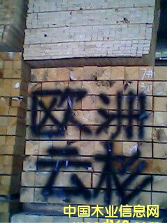 �W����ɼ��Ԕ����B