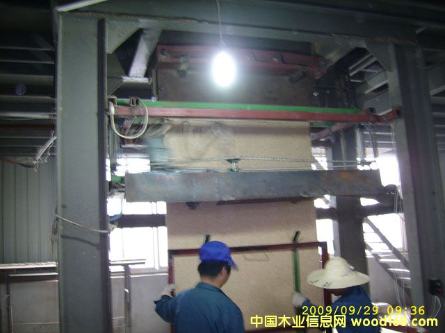 ����F(xi��n)����Ԕ��(x��)��B