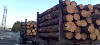 �����Ϸ���ԭľ��Ԕ��(x��)��B