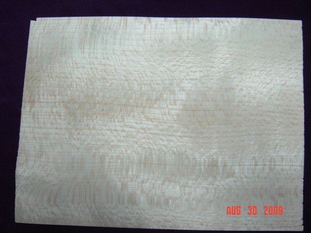 ����˹��Ԕ��(x��)��B