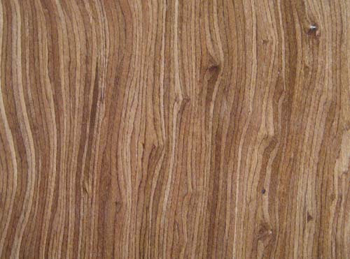 EV��Ӱľ��Ԕ��(x��)��B