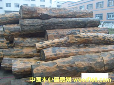 �G̴��Ԕ��(x��)��B