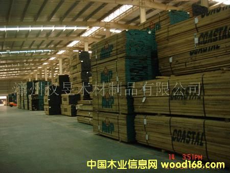 �c���鿴ɼľ�Ŵ�DƬ