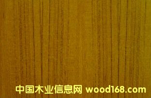 �c���鿴��ľ����Ŵ�DƬ