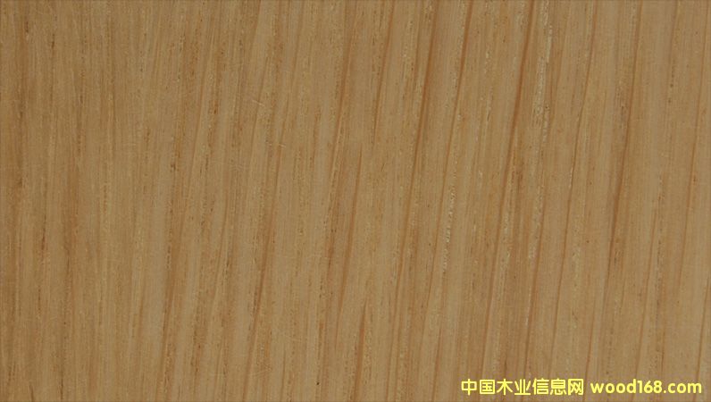 �c���鿴��������Ŵ�DƬ