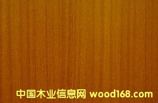 �c���鿴ɳ��������Ŵ�DƬ