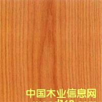 �c���鿴�t������Ŵ�DƬ