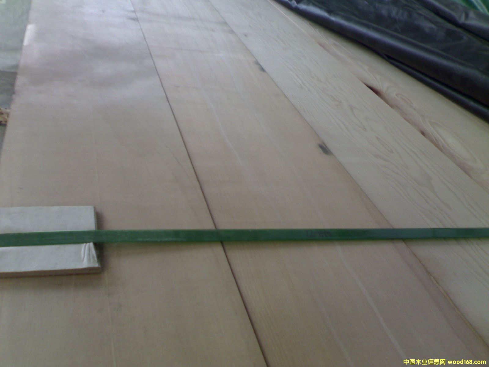 �c(di��n)���鿴��ľ�Ŵ�DƬ