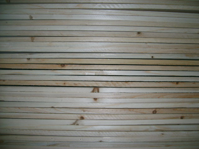 �c���鿴�ߙnɰ�ⴲ��Ŵ�DƬ