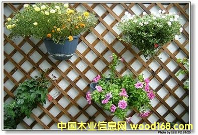 ���uͥ�@���^��Ԕ��(x��)��B