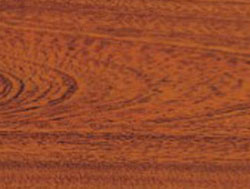 �c���鿴��̴�Ŵ�DƬ