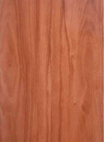 �c���鿴�t��ľƤ�ΰ�Ŵ�DƬ