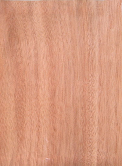 �c���鿴�һ�о �W���� ľƤ �ΰ�Ŵ�DƬ