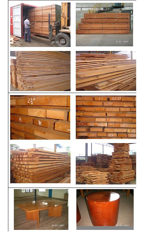 �c(di��n)���鿴피��tľ-쳝�(j��)�һ���ľ�Ŵ�DƬ