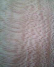 �c���鿴��˹�Ŵ�DƬ