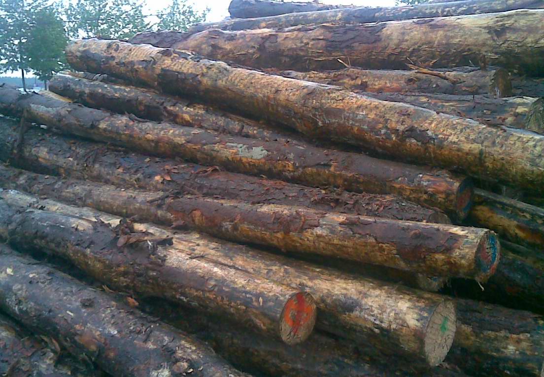 �c(di��n)���鿴ݗ���ɷŴ�DƬ