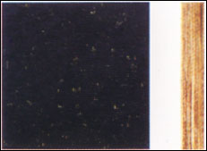 �c���鿴�� �M�ڽ��n���N���Ŵ�DƬ