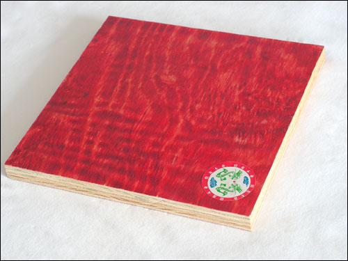 �c���鿴�����z�t��Ŵ�DƬ