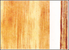 �c���鿴�� �����z�ذ�Ŵ�DƬ