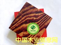 ��ľ���ˮģ���Ԕ��(x��)��B