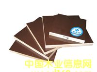 ����ģ�塪�����ɵ�Ԕ��(x��)��B