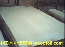 ��ľ��Ƥ��Ԕ��(x��)��B