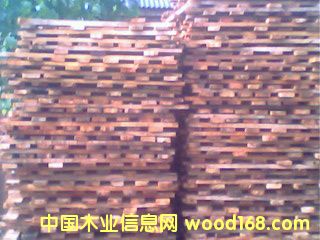 �c(di��n)���鿴��ľ��ķŴ�DƬ