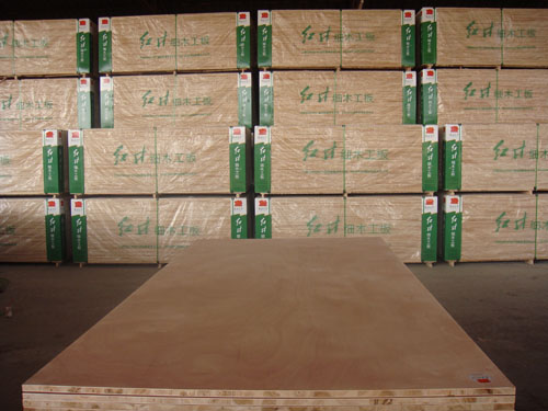 �c���鿴��ľ����Ŵ�DƬ