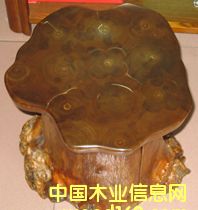 �c(di��n)���鿴��ľ���ɲŷŴ�DƬ