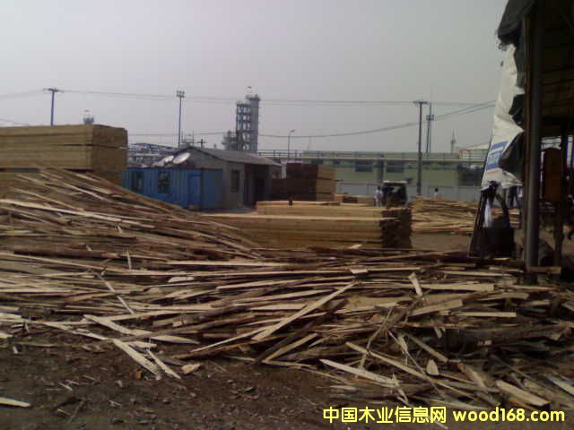 ݗ���ɡ������m.ݗ�����������������~�ɵ�Ԕ��(x��)��B