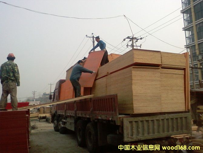 �c���鿴��ľģ��Ŵ�DƬ